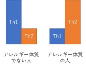 アレルギーの基礎知識 Th1 Th2 300x234 - アレルギーの基礎知識