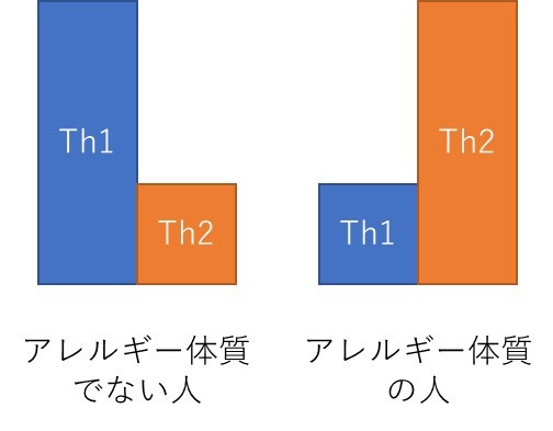 Th1 Th2 - アレルギーの基礎知識