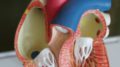 robina weermeijer Tmkwl7EjVtE unsplash 120x67 - 摂取していた薬